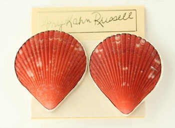 Shell Clip Earrings