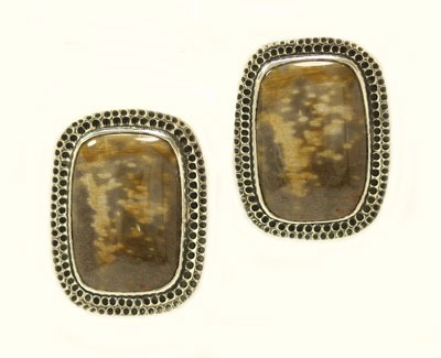 Petrified Palm Wood Post Earrings