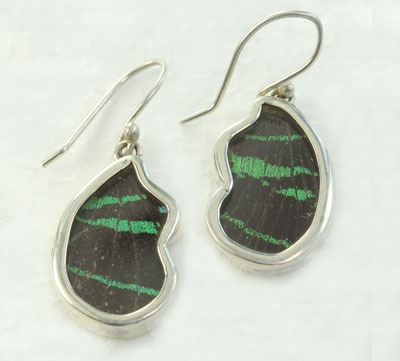 Preserved Butterfly Wing Necklace & Earrings