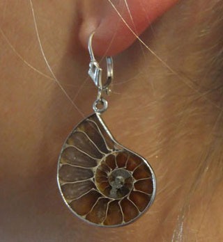 Prehistoric Ammonite Lever Back Dangle Earrings 