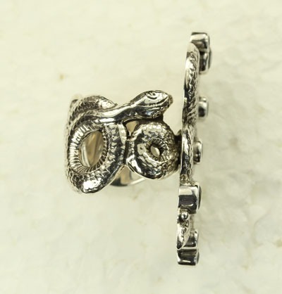 Snake Charmer Ring with Snake Band
