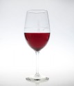 Etched Fly Fishing 18 oz. All Purpose Wine