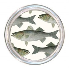 Rolf School of Fish Collection
