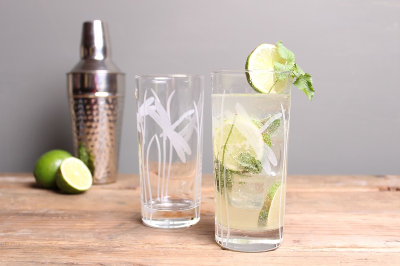 Rolf Dragonfly 15 oz. Highball/Water/Cooler