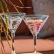 Rolf Palm Tree 10 oz. Martini Glass