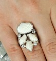 Echo of the Dreamer Shell Statement Ring with Botticelli Style Band