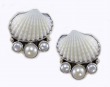 Echo of the Dreamer Shell Statement Ring with Botticelli Style Band