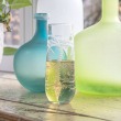 Rolf Palm Tree Stemless Champagne Flute 8.5 oz