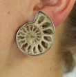 Amy Kahn Russell Very Large Prehistoric Ammonite Clip Earrings