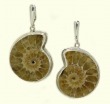 Fossilized Ammonite Lever Back Earrings