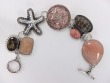 Bermuda Sea Life Bracelet