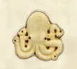 Ocean Reef Pin-Pendant