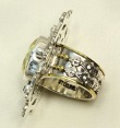 Bootlegger Ring