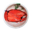 Steamed Maine Lobster Pattern