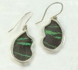 Preserved Butterfly Wing Necklace & Earrings