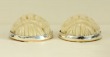 Carved Bone Post Earrings-- CAN BE CONVERTED TO CLIP