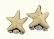 Very Large Carved Bone Starfish Post Earrings