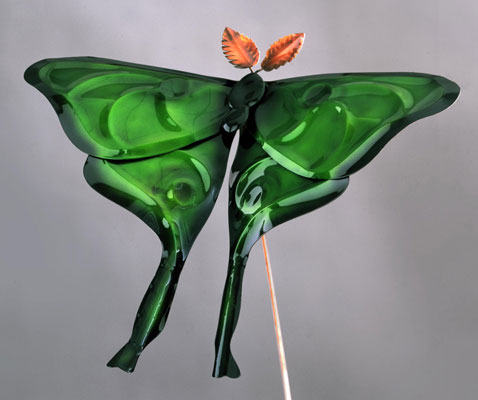 Copper Luna Moth
