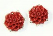 Red Coral Clip Earrings--CAN BE CONVERTED TO POST