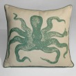Cuttlefish
