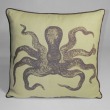Cuttlefish