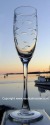 Rolf School of Fish Champagne Flute