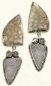 Echo of the Dreamer Fossil Shell & Light Gray Drusy Clips