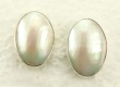 Mother of Pearl Post Earrings