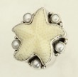 Amy Kahn Russell Medium Nautilus Shell Clip Earrings