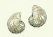 Osmena Shell Post Earrings