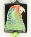 Portrait of a Parrot