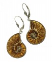 Prehistoric Fossil Bracelet