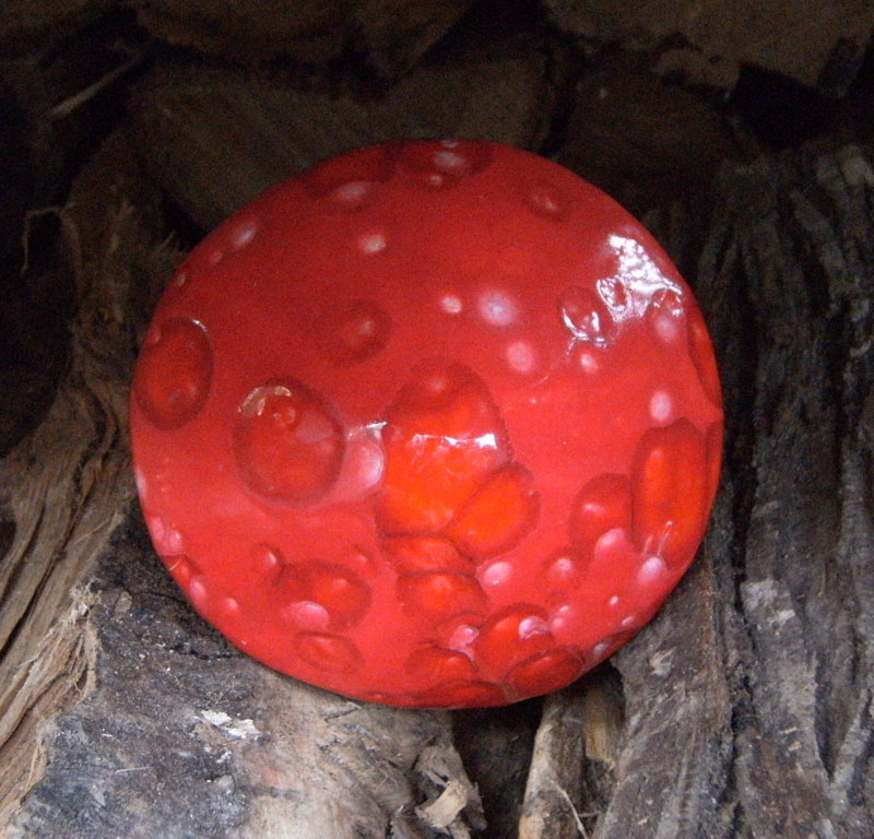 The Red Planet