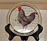 Rooster Plate 7