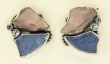 Echo of the Dreamer Sea Glass Post Earrings