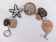 Bermuda Sea Life Pin-Pendant
