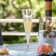 Rolf Sea Shore 5.5 oz Champagne Flute