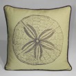 Sand Dollar