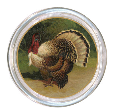 Thanksgiving Turkey