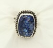 Enamel Under Quartz Ring