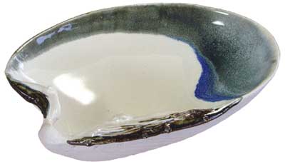 Mussels and More Large Clam