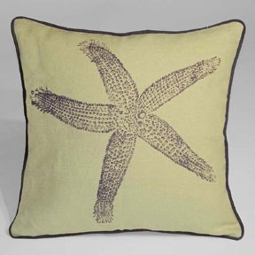 Starfish 