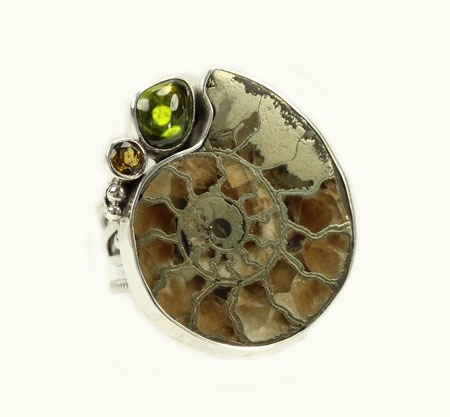 Echo of the Dreamer Prehistoric Ammonite Fossil Statement Ring