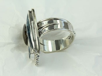 Kyanite & Spectrolite Ring