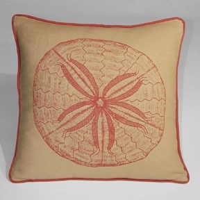 Sand Dollar