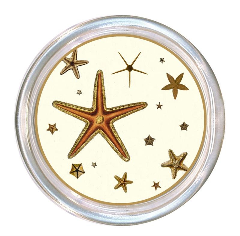 Starfish Wine Coaster